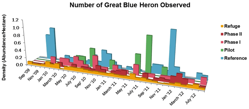 Great Blue Heron number